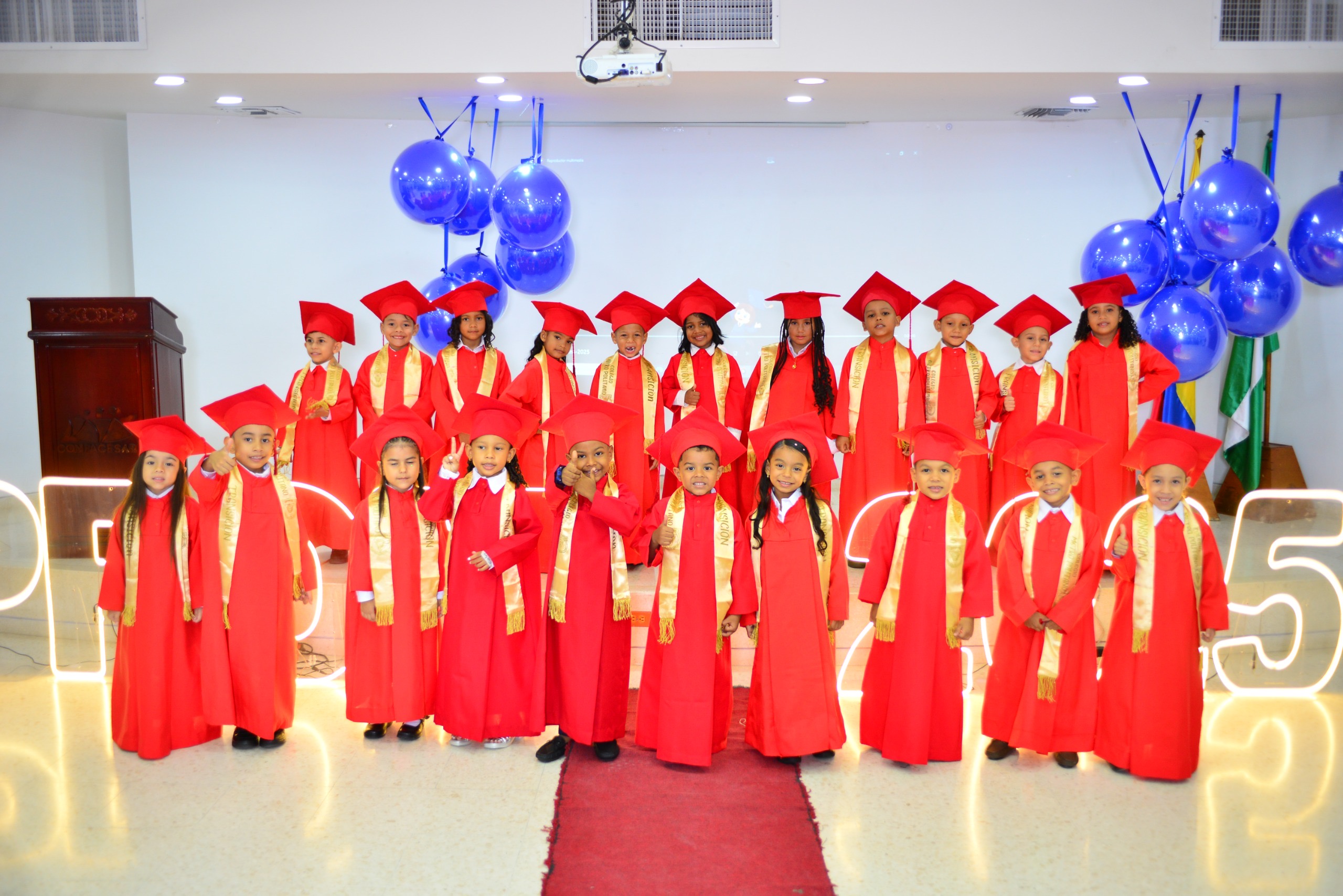 Descripción de la imagen