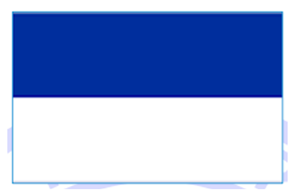 Bandera Institucional